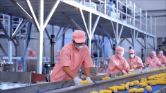 现从黑地盘到餐桌的新颖传送